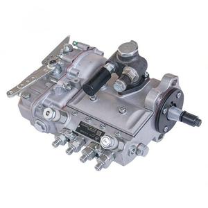 D7002 1111100A 493 B4A71D 191000 210001 10 Pièces de moteur diesel pour machines chinoises Pompe d'injection de carburant - Product Image 3