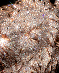 Novedad en Joyería Hip Hop: Colgante de Cabeza de León Personalizado con Moissanita, Cadena Cubana, Colgante VVS S925, Colgantes de Animales - Product Image 5