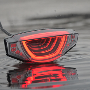 Luz Trasera LED para Motocicleta Scrambler 2015~2023 con Señal de Freno Integrada y Luz de Giro, Certificación E-Mark, Color Humo - Product Image 6