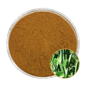 Poudre de Cissus Quadrangularis 100% naturelle, haute qualité, pour le soutien osseux et la santé des articulations - Product Image 4