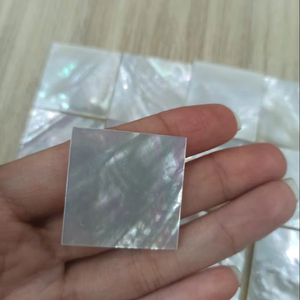 Piezas Brillantes de Madreperla para Componentes de Joyería y Uso Artesanal - Product Image 1