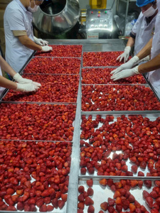 Fraises lyophilisées sélectionnées du Vietnam, matière première pure pour snacks, desserts, garnitures et ingrédients de pâtisserie - Product Image 6