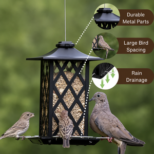 Copper Roof Black <b>Frame</b> Metal Hanging Bird Feeder Outdoor Garden Feeder With Perch For Birds - Product Image 5