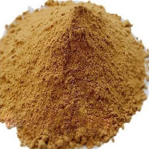 Poudre d'extrait pur de racine de Coleus Forskohlii, ingrédient botanique naturel à base de plantes pour les compléments alimentaires et les formulations de bien-être - Product Image 6