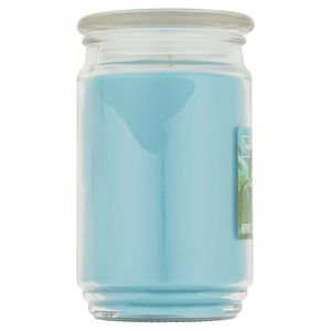 Grande barattolo di vetro a stoppino singolo candela 20 once vasetto da pioggia da giardino candele - Product Image 4