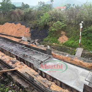 Báscula Electrónica Dinámica en Movimiento Personalizable de 70 t/h con Pantalla LED y Soporte OEM - Product Image 5