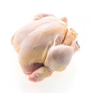ไก่ทั้งตัวแช่แข็งไขมันต่ำ ราคาดี มีขาย - Product Image 2