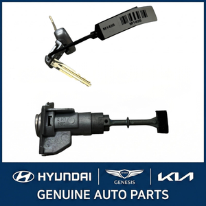Llaves, Controles y Controles Remotos Nuevos para Elantra 819053X840 - Product Image 1