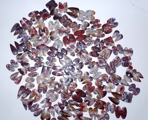 Paire d'agates Crazy Lace naturelles de qualité supérieure, pierres précieuses lâches, formes variées, jeu de couleurs, polies, haute qualité, pour la fabrication de bijoux - Product Image 4