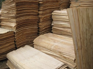 Plaques de placage en bois de caoutchouc naturel 100 %, découpées rotativement, écologiques et durables, 1270x640mm, pour matériau de noyau de contreplaqué - Product Image 6