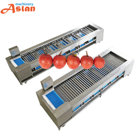 Aardappel-Tomaat Sorteermachine Hoge Nauwkeurigheid Vers Fruit Groenten Sorteermachine Rollertype Fruitverwerkingsinstallatie