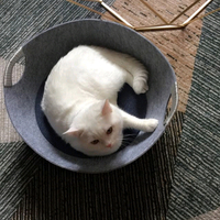 Nid de lit pour chat en feutre pour animaux de compagnie nid ovale corde de coton tissé grotte de chat amovible petit chenil pour chien