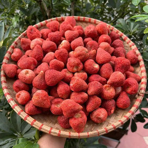 ขนมสตรอว์เบอร์รีอบกรอบแบบฟรีซดราย ผลิตภายใต้แบรนด์ OEM สำหรับส่งออก เกรดอาหาร ผลิตในเวียดนาม - Product Image 1