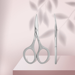 Ciseaux à ongles AESCO INSTRUMENTS en acier inoxydable BEAUTY & CARE 10 TYPE 2 SBC 10/2, finition polie, ciseaux à ongles personnalisés - Product Image 1