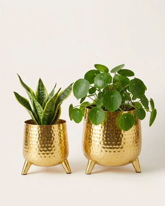 Grandes jardinières décoratives en laiton pour plantes, pots à fleurs dorés de luxe au design martelé vintage - Product Image 4