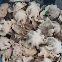 Poulpe Congelé en Boîte Prix Usine Fruits de Mer Durée de Conservation 24 Mois pour la Vente en Gros