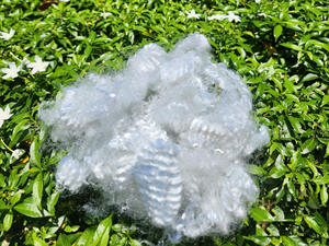 Fibra Discontinua Hueca No Conjugada 6Dx51 HF Retardante de Fuego - Tecnología Avanzada OEM ODM Marca Privada Segura para Uso Diario - Product Image 5