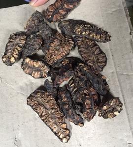 Fruits de Noni séchés soigneusement sélectionnés pour la vente en gros et les canaux de distribution internationaux - Product Image 3