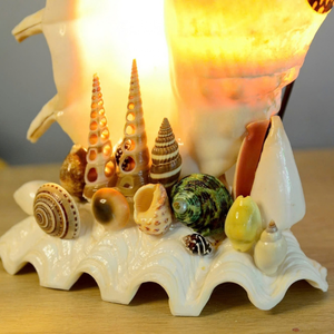 High Quality Vietnam Seashell Nightlight For Industrial Craft Making And Wholesale Interior Design Lamps 99 Gold Data - Product Image 5