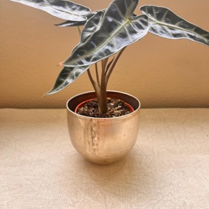 Jardinière d'extérieur en métal finition or vintage, style simple, idéale pour jardin, balcon et exposition extérieure, vente en gros depuis l'Inde - Product Image 4