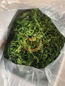 Vente en gros au Viet Nam d'algues séchées grillées (Laver verte Aonori Ulva Lactuca) flocons de laitue de mer séchée en poudre alimentation de haute qualité - Product Image 2