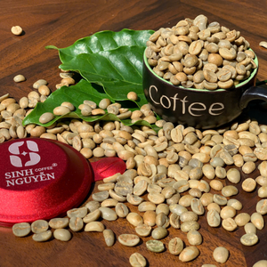 Café Vert Biologique Arabica Naturel Lavé Sinh Nguyen du Vietnam, Qualité Supérieure, Sac de 60 kg, Prêt à l'Exportation, 24 Mois de Conservation pour la Torréfaction - Product Image 2