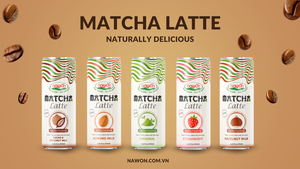 Fabricant de boisson matcha latte à saveur de lait de noisette 250ml Vietnam NAWON usine prix échantillon gratuit marque privée OEM/ODM - Product Image 6