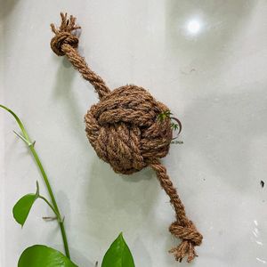 Jouet à mâcher pour animaux de compagnie en fibre de coco écologique de grande taille, design naturel, jouet à mâcher et à jouer pour chiens et petits animaux - Product Image 3