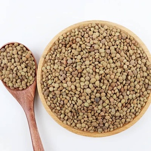 Lentejas Rojas Enteras Secas, Granos Naturales a Granel, 25 kg, Tanzania TZ453G, 24 Meses de Caducidad, para Sopa, Curry y Comida - Product Image 1