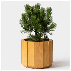 Jardinière en bois de pin massif artisanal, pot à fleurs rond moderne pour l'intérieur et l'extérieur, décoration de luxe pour la maison et le jardin - Product Image 1
