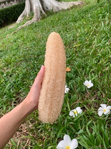 Esponja de Lufa Natural de Buena Calidad para Limpieza Corporal, Esponja de Ducha Ecológica y Biodegradable, Fabricante OEM - Product Image 1