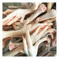 Pattes de poulet congelées, pattes de poulet transformées du Brésil, pattes et pieds de poulet congelés de qualité A