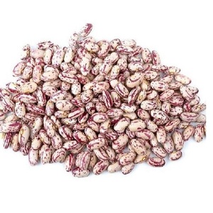 รสธรรมชาติถั่วไตจุดด่างดำในราคาที่ดีที่สุด - Product Image 1