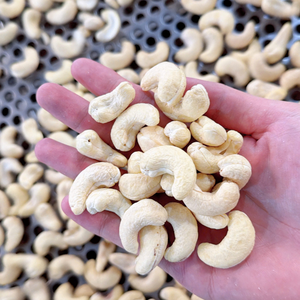 Ready To Ship Cashew Kernels Kaju Cashew <b>Nuts</b> SANTIGO Kaju Low Price OEM, ODM Packaging - Product Image 1