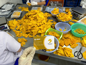 มะม่วงอบแห้ง มะม่วงธรรมชาติ ผลไม้อบแห้ง วัตถุดิบสำหรับเบเกอรี่ โยเกิร์ต และท็อปปิ้งของหวาน เนื้อนุ่มหนึบ บรรจุภัณฑ์ขนาดใหญ่ ผลิตจากเวียดนาม - Product Image 5