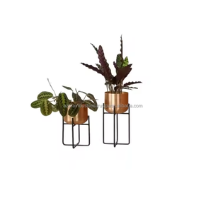 Design moderne fait à la main écologique de haute qualité grandes jardinières en métal pour herbes maison intérieur vase de table Azora - Product Image 5