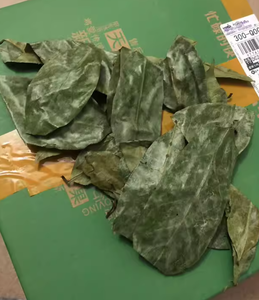 Té Negro de Graviola Vietnamita Fermentada y Seca al Sol, Calidad Superior, Orgánico, Cuidadosamente Seleccionado, Compra al por Mayor, OEM - Product Image 4