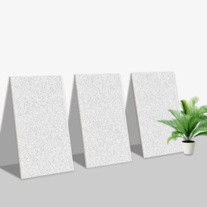 Carreaux muraux Premium Choice de qualité supérieure, carreaux d'élévation Asia Tiles 300x600mm pour la protection des murs. - Product Image 1