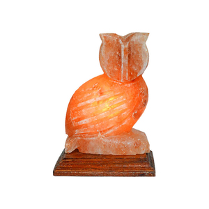 Lámpara de Sal Rosa del Himalaya con Forma de Animal Tallada a Mano, Luz Nocturna LED, Lámpara de Mesa de Sal de Cristal Natural, Decoración para el Hogar - Product Image 6