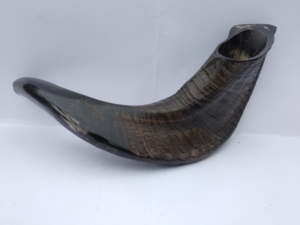 Corne de Bélier / Corne de Mouton Artisanat Naturel 100% Corne de Bélier Naturelle Polie Shofar pour la Récitation - Product Image 4