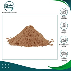 Polvo de Nuez de Cola 100% Natural y Puro de Grado Alimenticio, para Todas las Estaciones, Venta al Por Mayor a Precio de Fábrica - Product Image 2
