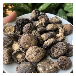 เห็ดหอมธรรมชาติ - Product Image 4