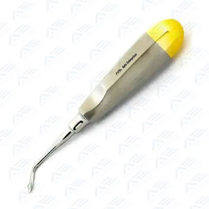 Élévateur dentaire courbé pour racines, instruments chirurgicaux dentaires, instruments médicaux, élévateur dentaire en acier inoxydable, outils d'extraction dentaire - Product Image 2