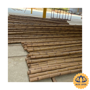 [ALTA CALIDAD] |   Postes de Bambú al por Mayor, Material Resistente para Construcción y Proyectos de Bricolaje, Provenientes de Vietnam - Product Image 1