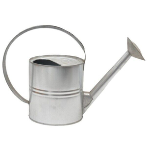 Arrosoir en acier galvanisé écologique pour plantes de jardin intérieures et extérieures, arrosoir en métal avec pomme de douche amovible - Product Image 1