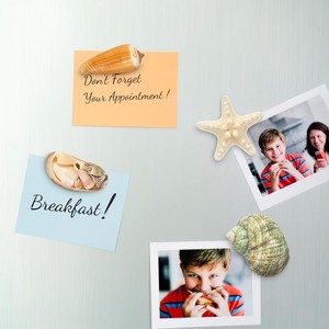 Imanes decorativos para refrigerador con diseño de conchas marinas, buen precio, venta al por mayor, imán para refrigerador producido en Vietnam. - Product Image 1