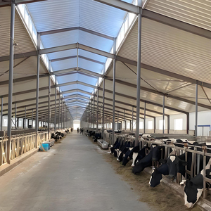 Struttura Prefabbricata in Acciaio Personalizzata per Allevamento Suini, Design di Edifici Agricoli per Bovini, Capre, Mucche, Polli, Cavalli, Stalle - Product Image 3