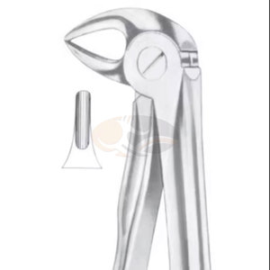Figurine chirurgicale dentaire Forceps d'extraction dentaire 33L pour racines inférieures, à dents de différentes tailles, instruments dentaires, prix de gros en vrac - Product Image 5