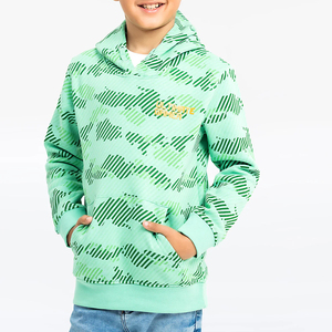 สินค้าขายส่งยอดนิยมปี 2026 เสื้อฮู้ดเด็กสำหรับใส่ไปโรงเรียนและใส่ลำลอง รับผลิตโลโก้ตามสั่ง - Product Image 2