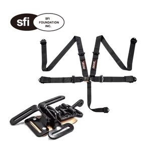 Custom Color TBRACING SF 501 5 Point Racing Harness SFI 16 1 Certified <b>Driver</b> Restraint Taiwan Factory OEM ODM Wholesale Supply - Product Image 1